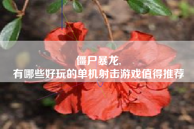 僵尸暴龙,
有哪些好玩的单机射击游戏值得推荐