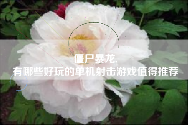 僵尸暴龙,
有哪些好玩的单机射击游戏值得推荐