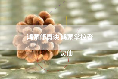 鸿蒙修真诀,鸿蒙掌控者
灵仙 鸿蒙修真诀,鸿蒙掌控者
灵仙