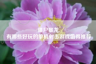 僵尸暴龙,
有哪些好玩的单机射击游戏值得推荐