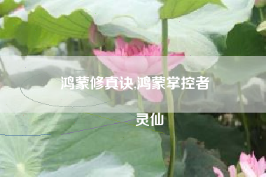 鸿蒙修真诀,鸿蒙掌控者
灵仙 鸿蒙修真诀,鸿蒙掌控者
灵仙