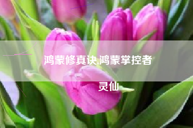 鸿蒙修真诀,鸿蒙掌控者
灵仙 鸿蒙修真诀,鸿蒙掌控者
灵仙