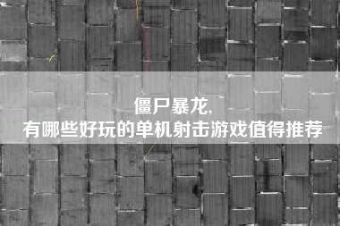 僵尸暴龙,
有哪些好玩的单机射击游戏值得推荐