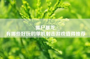 僵尸暴龙,
有哪些好玩的单机射击游戏值得推荐