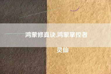 鸿蒙修真诀,鸿蒙掌控者
灵仙 鸿蒙修真诀,鸿蒙掌控者
灵仙