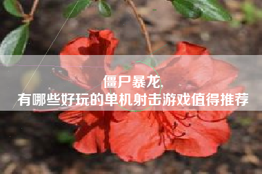 僵尸暴龙,
有哪些好玩的单机射击游戏值得推荐