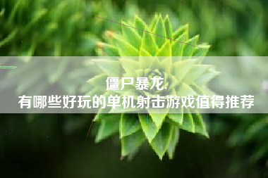 僵尸暴龙,
有哪些好玩的单机射击游戏值得推荐