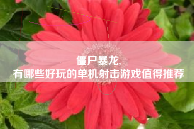 僵尸暴龙,
有哪些好玩的单机射击游戏值得推荐