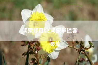 鸿蒙修真诀,鸿蒙掌控者
灵仙 鸿蒙修真诀,鸿蒙掌控者
灵仙