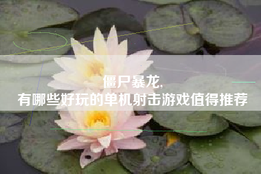 僵尸暴龙,
有哪些好玩的单机射击游戏值得推荐