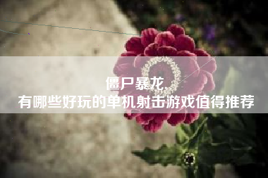 僵尸暴龙,
有哪些好玩的单机射击游戏值得推荐