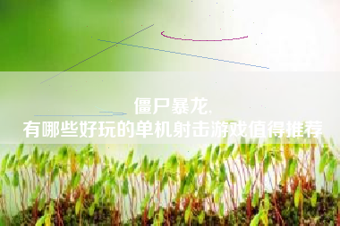 僵尸暴龙,
有哪些好玩的单机射击游戏值得推荐