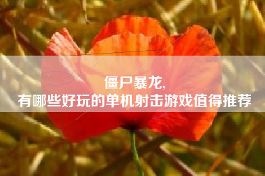 僵尸暴龙,
有哪些好玩的单机射击游戏值得推荐