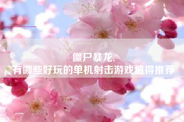 僵尸暴龙,
有哪些好玩的单机射击游戏值得推荐