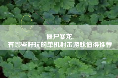 僵尸暴龙,
有哪些好玩的单机射击游戏值得推荐