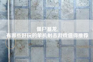 僵尸暴龙,
有哪些好玩的单机射击游戏值得推荐