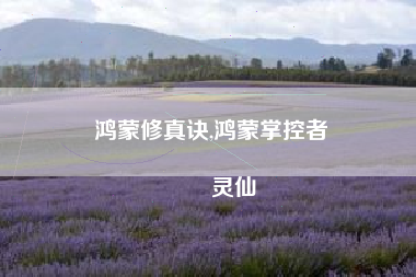 鸿蒙修真诀,鸿蒙掌控者
灵仙 鸿蒙修真诀,鸿蒙掌控者
灵仙