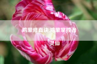 鸿蒙修真诀,鸿蒙掌控者
灵仙 鸿蒙修真诀,鸿蒙掌控者
灵仙