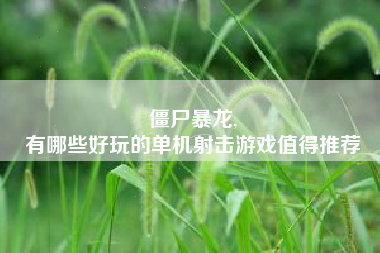 僵尸暴龙,
有哪些好玩的单机射击游戏值得推荐