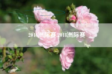 2018洲际赛,2018洲际赛