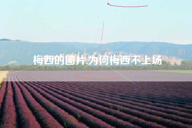 梅西的图片,为何梅西不上场