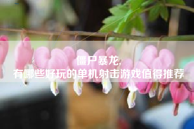 僵尸暴龙,
有哪些好玩的单机射击游戏值得推荐