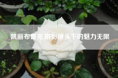 凯丽布鲁克,摄影镜头下的魅力无限