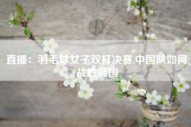直播：羽毛球女子双打决赛,中国队如何战胜韩国