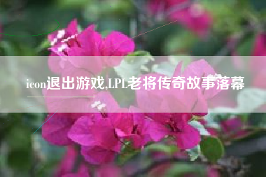 icon退出游戏,LPL老将传奇故事落幕