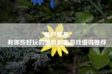 僵尸暴龙,
有哪些好玩的单机射击游戏值得推荐