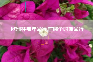 欧洲杯那年举行,在哪个时期举行