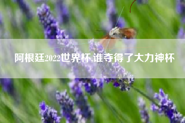 阿根廷2022世界杯,谁夺得了大力神杯