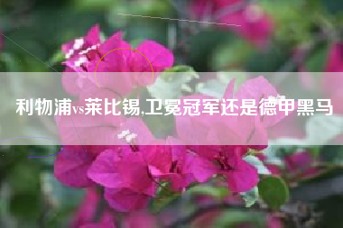 利物浦vs莱比锡,卫冕冠军还是德甲黑马