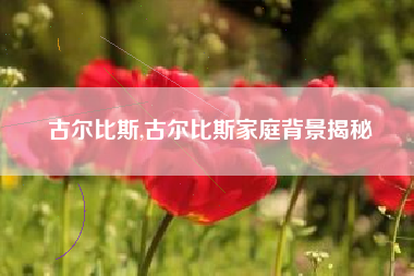 古尔比斯,古尔比斯家庭背景揭秘