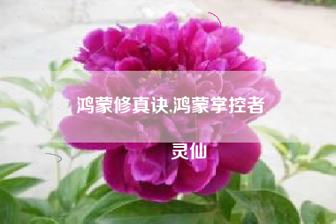 鸿蒙修真诀,鸿蒙掌控者
灵仙 鸿蒙修真诀,鸿蒙掌控者
灵仙