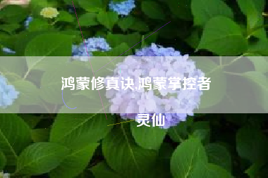 鸿蒙修真诀,鸿蒙掌控者
灵仙 鸿蒙修真诀,鸿蒙掌控者
灵仙