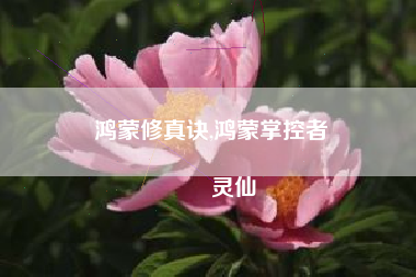 鸿蒙修真诀,鸿蒙掌控者
灵仙 鸿蒙修真诀,鸿蒙掌控者
灵仙