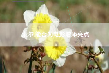 索尔,能否为电影增添亮点