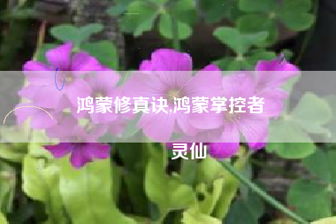 鸿蒙修真诀,鸿蒙掌控者
灵仙 鸿蒙修真诀,鸿蒙掌控者
灵仙