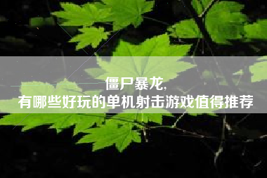 僵尸暴龙,
有哪些好玩的单机射击游戏值得推荐