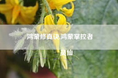 鸿蒙修真诀,鸿蒙掌控者
灵仙 鸿蒙修真诀,鸿蒙掌控者
灵仙