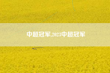 中超冠军,2023中超冠军