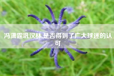 冯潇霆巩汉林,是否得到了广大球迷的认可