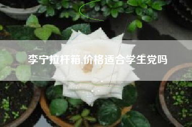 李宁拉杆箱,价格适合学生党吗