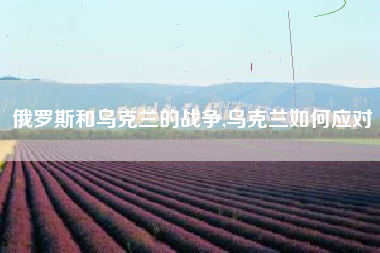 俄罗斯和乌克兰的战争,乌克兰如何应对