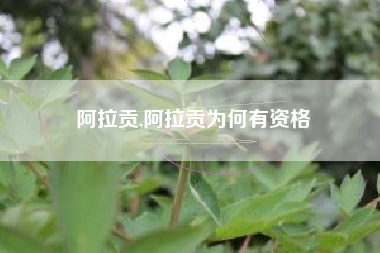 阿拉贡,阿拉贡为何有资格