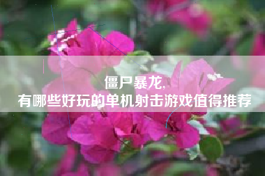 僵尸暴龙,
有哪些好玩的单机射击游戏值得推荐