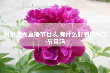 贵州卫视直播节目表,有什么好看的综艺节目吗