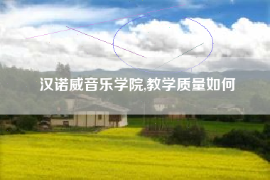 汉诺威音乐学院,教学质量如何