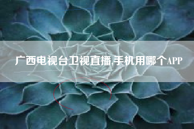 广西电视台卫视直播,手机用哪个APP